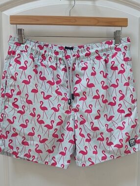 Tom & Teddy Men's Light Blue Swim Trunks with Pink Flamingo Print
